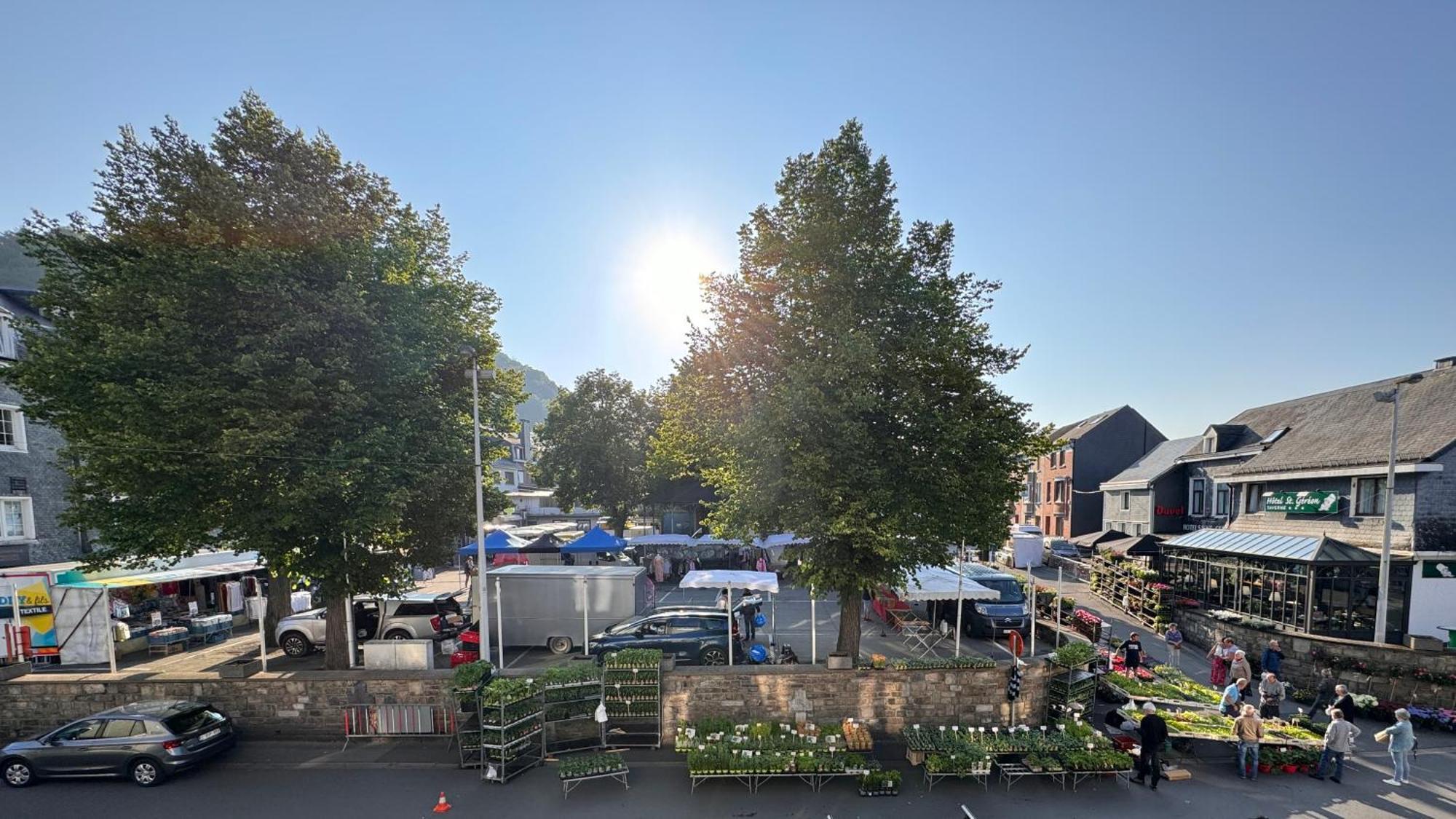 Le Dragon - Gite Accueillant Malmedy Exterior foto